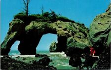 Elephant Rock on Washington Seacoast Vintage Chrome Postcard B24 picture