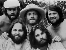 The Beach Boys  8x10 Glossy Photo picture