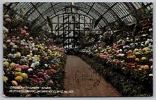 Chrysanthemum Show Mitchell Park Milwaukee Wisconsin Flower Garden VNG Postcard picture