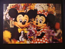 Mickey and Minnie Mouse, Walt Disney postcard FL picture