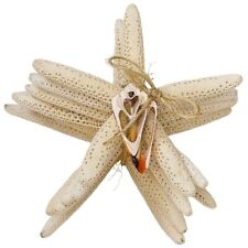 6 pc Finger Starfish Bundle with Cut Shell White 4-6