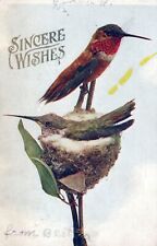 Sincere Wishes Love & Romance Birds Posted in 1909 Postcard picture