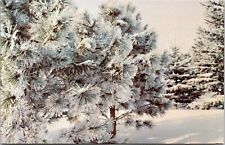 Winter Serentiy Mount Olivet Retreat Center Snow Farmington Minnesota Postcard picture