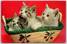 c1960's Three Sweet Kittens in a Basket, Vintage Chrome picture