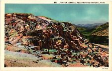 Vintage Postcard- JUPITER TERRACE, YELLOWSTONE NATIONAL PARK, WY. picture