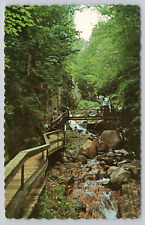 The Flume Gorge Franconia Notch New Hamshire Vintage Postcard scalloped picture