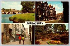 Postcard Shrewsbury - The Dingle - Irelands Mansions picture
