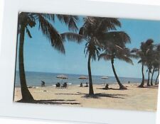 Postcard Sun-Tanning Florida USA picture