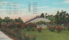 Shell Mound Park in St. Petersburg Florida White Border Vintage Post Card picture