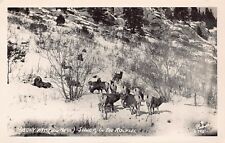 RPPC Boise ID Idaho Sawtooth Rocky Mountains Sheep Goats Photo Vtg Postcard A62 picture