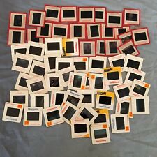 Lot of 65 Vintage 35mm Color Slides So Cal Family Travel Pretty Ladies Cats etc picture