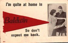 Vintage Postcard 1913 Lovers Couple Quite At Home At Baldwin Red Felt Pennant GA picture