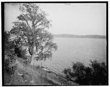 Photo:[The Lake, Saratoga, N.Y.] picture