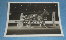 1974 Harness Racing Press Photo Horse 