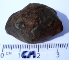 16.3 grams NWA xxxx unclassified as found individual stoney Meteorite with a COA picture