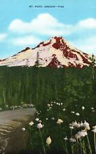 Vintage PPC - Mt Hood, Oregon - F24467 picture