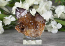 Amethyst with Citrine Spirit Quartz from South Africa  3.9 cm # 19199 picture