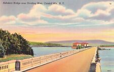 Postcard Ashokan Bridge over Dividing Weir Catskill Mountains New York NY picture