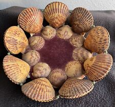 Unusual Hand Crafted Antique Victorian Shell Seashell Art Bowl Basket picture