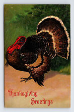 Thanksgiving Greetings Turkey Embossed Germany PFB 7721 Postcard picture
