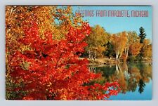 Marquette MI-Michigan, Scenic Lake Greetings, Antique, Vintage Souvenir Postcard picture