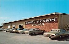 Clearwater Seminole Largo FL Florida Orange Blossom Groves Vtg Postcard D37 picture