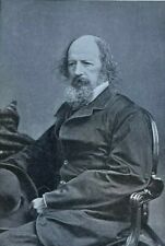1892 Poet Alfred Lord Tennyson Aldworth Farringford illustrated  picture