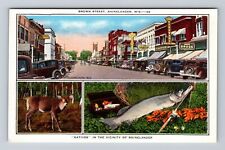 Rhinelander WI-Wisconsin, Brown Street, Drugstore, Hardware Vintage Postcard picture