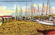 Postcard FL Tarpon Springs Florida Sponges Along Dock 1940s MINT picture