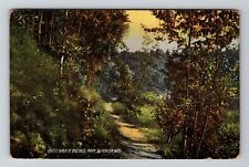 Superior WI-Wisconsin, Lovers Walk in Billings Park, Vintage Postcard picture