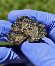 Meteorite**NWA Unc., prob. Eucrite**4.933 gram, W/Brecciated Matrix  picture