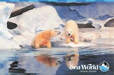 Postcard Polar Bears SeaWorld Orlando FL Water Marine Zoological Theme Park picture
