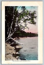The Birches. Lake Sunapee New Hampshire. Vintage Postcard. picture