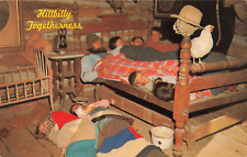 Ozarks Hillbilly Togetherness, Missouri Family Humor Chicken, Vintage Postcard picture