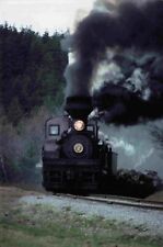 Train Photo - Norfolk and Western Steam Locomotive Railroad 4x6 #7987 picture