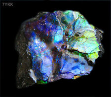 Genuine Iridescent Ammonite Gemstone - LG 1