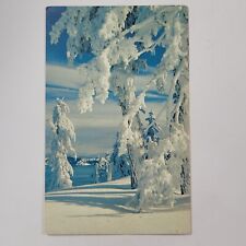 Crater Lake National Park Oregon Cascade Mountain Snow Trees Vintage Postcard picture