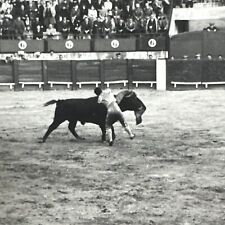 1966 VINTAGE PHOTO Bullfighting matador bull ring Original Snapshot Action shot picture