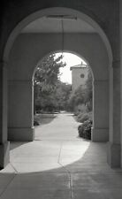 Louisiana State University Campus Vintage 35 mm B&W Negatives (4) picture