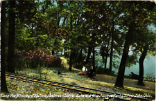 Miniature Railway Silver Lake to Chautauqua Park Ohio Divided Postcard c1911 picture