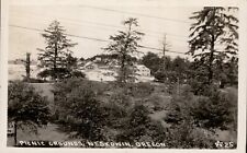 Picnic Grounds Neskowin Oregon RPPC Postcard c. 1940s EKC UNP picture