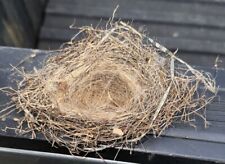 Birds Abandoned Nest Natural Genuine Real  Nest Small Delicate picture