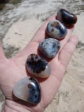 Lot of 5 Stunning Small Polished Dendrite AGATES Mineral Specimens D3 picture