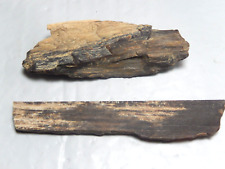 Natural Petrified Wood Specimen  4.4  oz. Idaho or Oregon USA lot of 2 picture