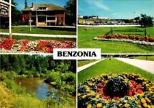 Benzonia, MI Michigan LIBRARY~CRYSTAL PLAZA SHOPPING MALL Benzie Co 4X6 Postcard picture