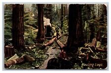 California CA, Hauling Logs Unposted Divided Back Postcard  picture