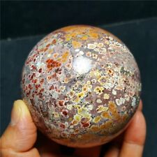 630.7g81mm Natural polishing Leopard agate BALL Madagascar 37X90 picture