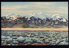 MT. SIERRA BLANCA, San Luis Valley Colo. * Linen postcard not posted C.T. ART  picture