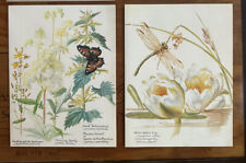 Vintage Pair Of Botanical Plants Print Cards Edith Holden Frame Gallery Wall NOS picture