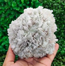 Natural Glassy Scolecite with Little Apophyllites Mineral Specimen #E260 picture